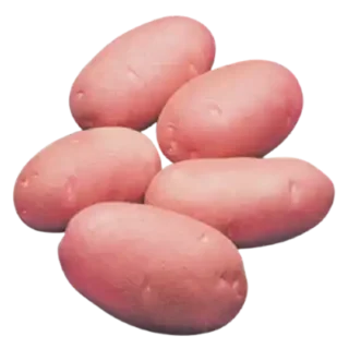 ১ কেজি লাল আলু (লাল আলু কার্ডিনাল)