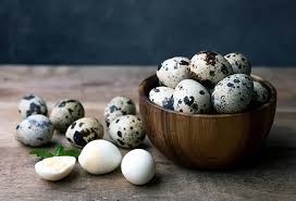 ১০ পিছ কোয়েলের ডিম /Quail Eggs 10 Ps