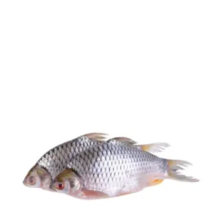 ৫০০ গ্রাম দেশি সরপুটি মাছ Deshi Sarputi Fish