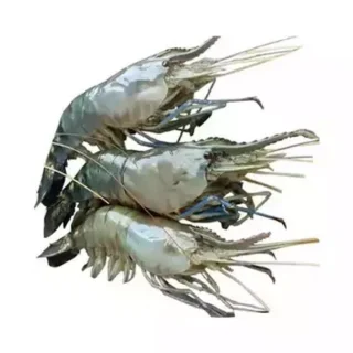 ৫০০ গ্রাম গোল্ডা চিংড়ি Golda Chingri (Shrimp)