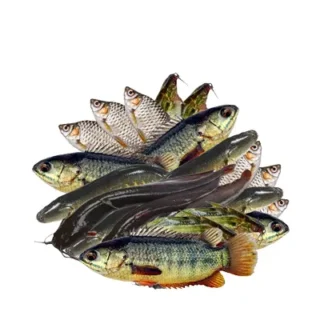 ৫০০ গ্রাম দেশি মিশ্রিত মাছ  Mix Fish (Deshi)