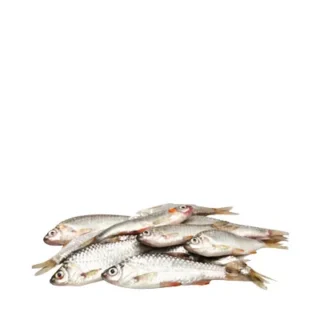২০০ গ্রাম পুটি মাছ Puti Fish