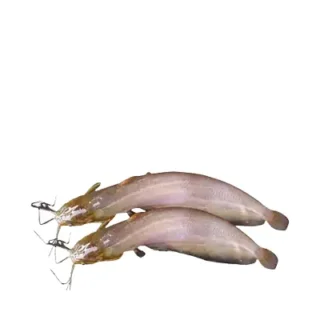 ২৫০ গ্রাম শিং ফিশ Shing Fish