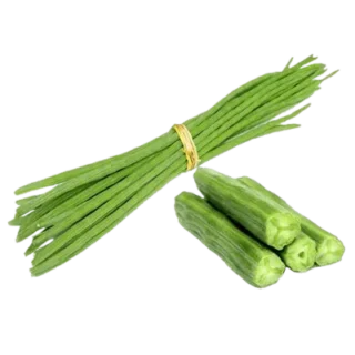 ২৫০ গ্রাম শোজনে ডেটা/Shojne Data